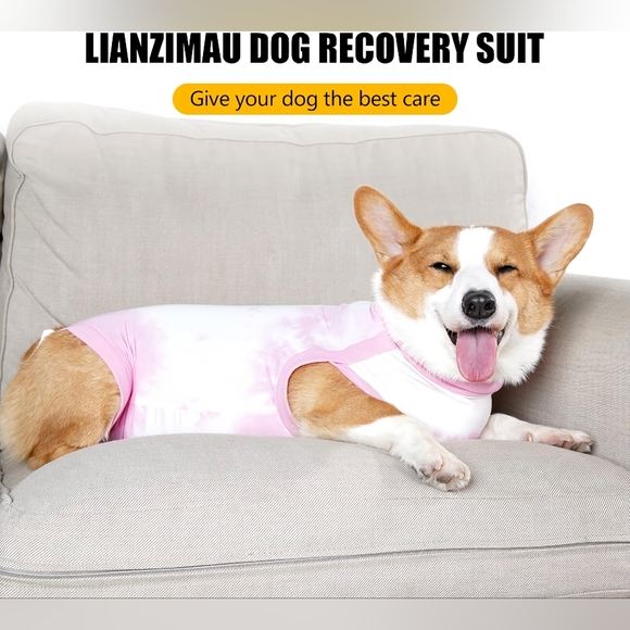 Small Pet Recovery Bodysuit / Onesie After Surgery / Wounds / Anti-Licking - Picture 3 of 10